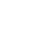 P&N Logo White-01