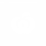 Woolworths logo white on dark-01